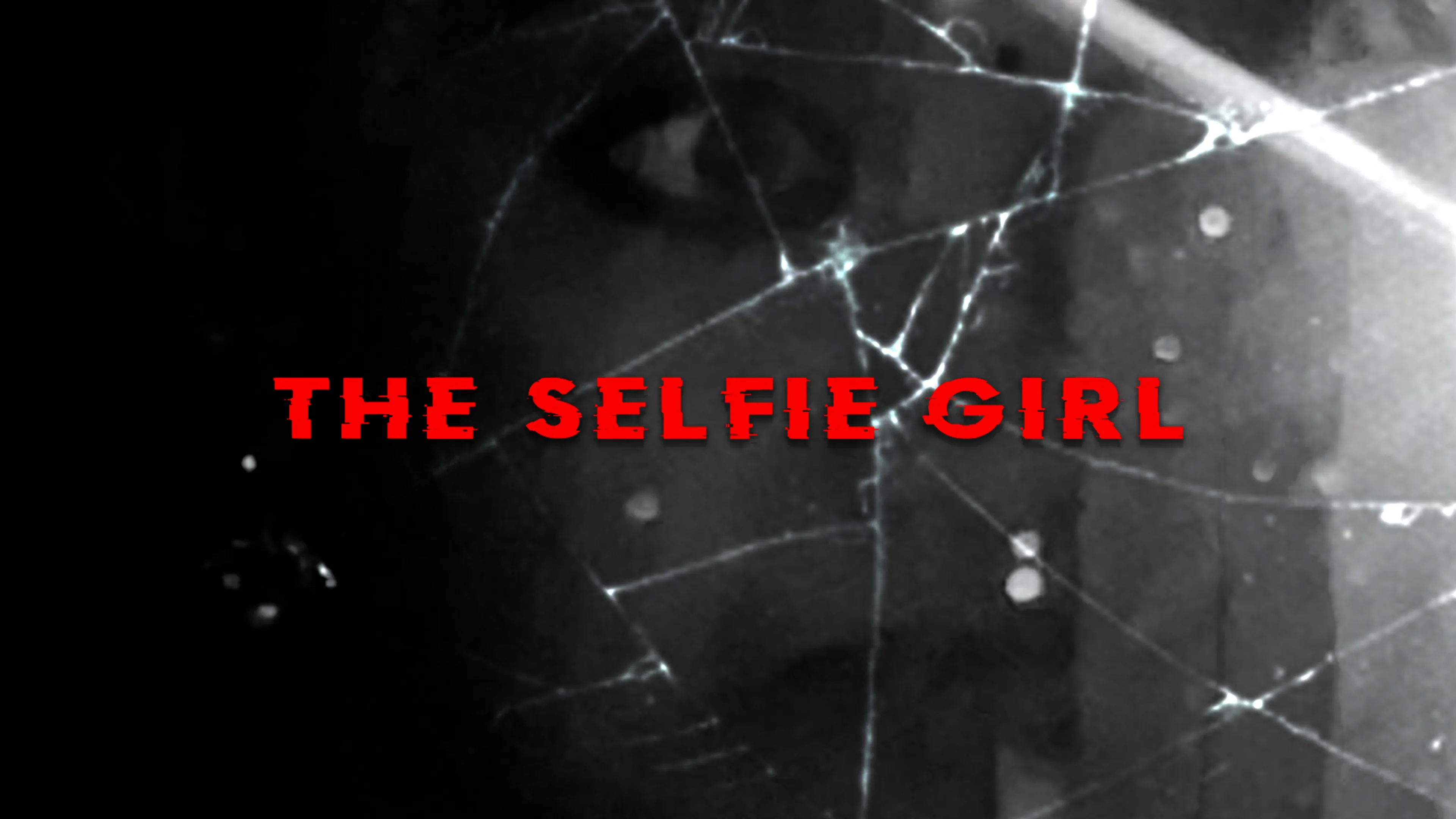 The Selfie Girl poster